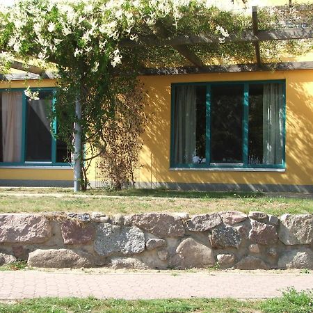 Doppelzimmer 11 Gaestehaus Muehlenstein Bad Sulze Eksteriør billede